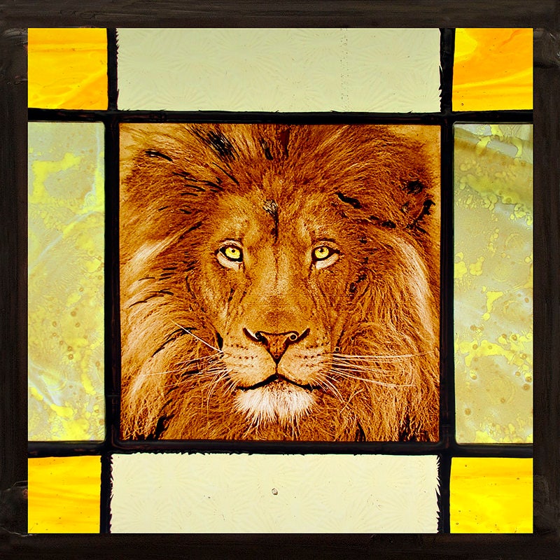 Lion suncatcher, Lion stained glass, kilnfired stained glass, lion