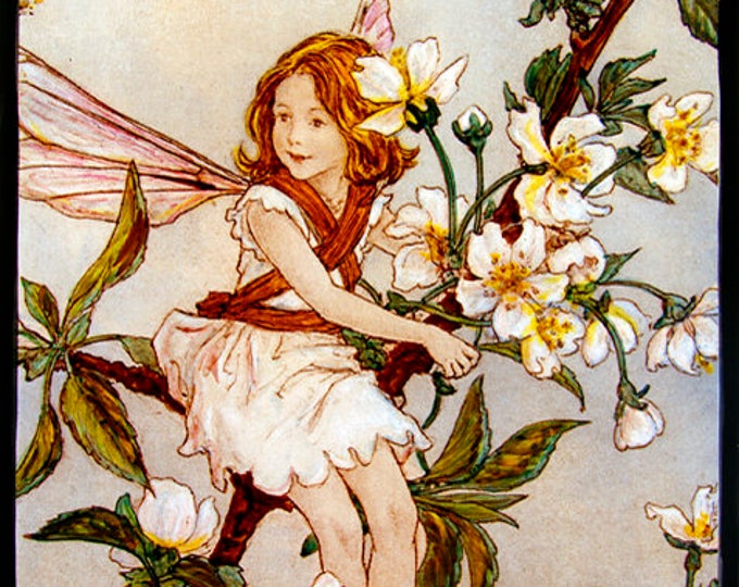 Fairy stained glass, Fairie suncatcher, flower fairy, wild cherry blossom, flower stained glass, flower fairies, fantasy suncatcher, gift