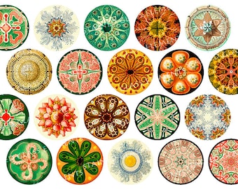 Forms of Nature ceramic decals, kaleidoscope ceramic decals, decals sheet, decals for enameling, ceramic decals for pedants, ceramic decals