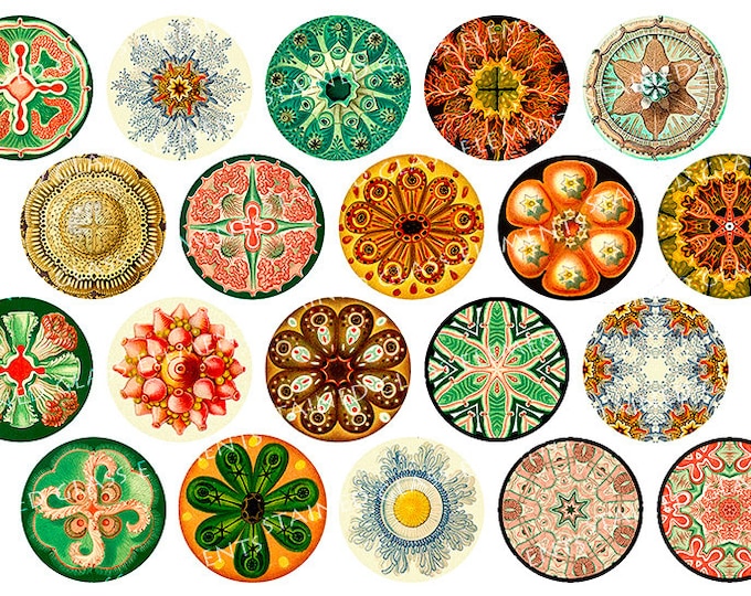 Forms of Nature ceramic decals, kaleidoscope ceramic decals, decals sheet, decals for enameling, ceramic decals for pedants, ceramic decals