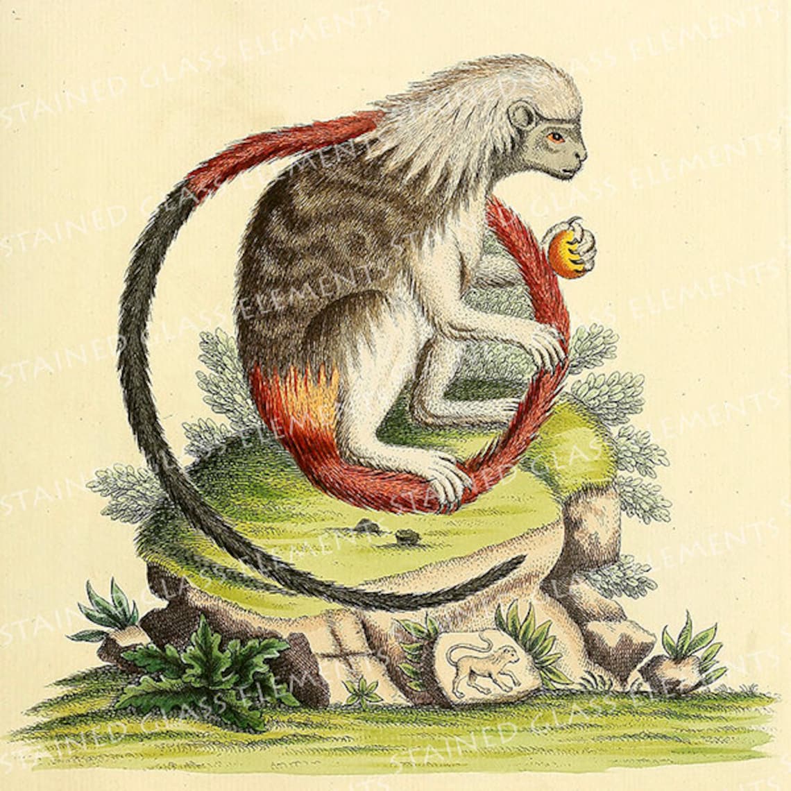 Monkey Ceramic Decal Monkey Decals Fusible Primate Decal Etsy