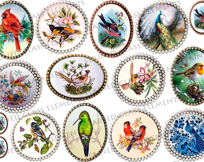 Ceramic decals Birds, fusible transfers, transfers fusing, birds ceramic decals, decals for glass, decals for ceramics, decals for enameling