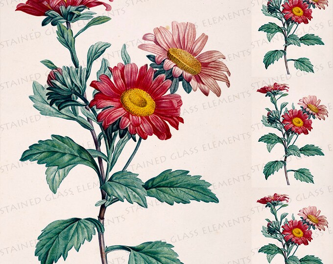 Red Flowers ceramic decals botanical vintage fusible transfer flower motifs for decoration of ceramics glassfusing glasstiles and enameling