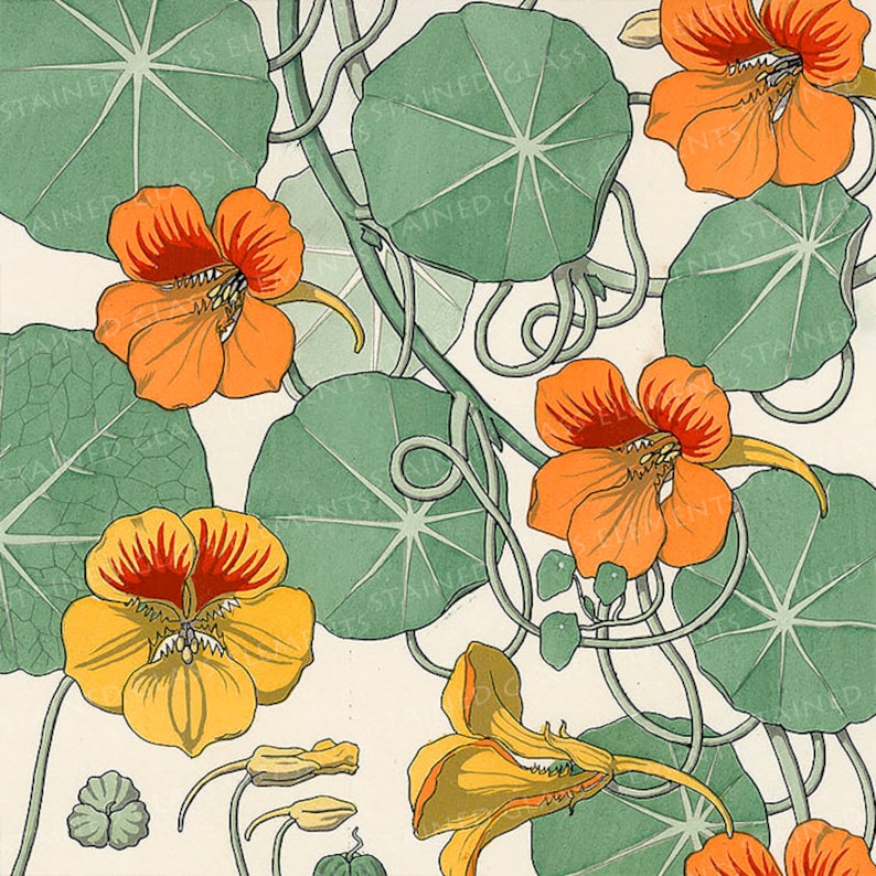 Indian Cress Ceramic Decal Decorative Waterslide Transfer for Etsy UK