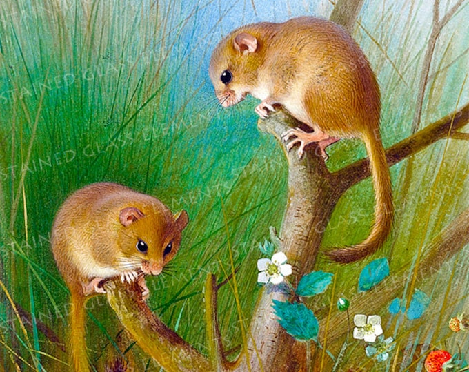 Dormouse ceramic decal, dormouse, decals fusible, mouse decal, fusible transfers, pendant decals, ceramic decals, dormouse ceramic transfer