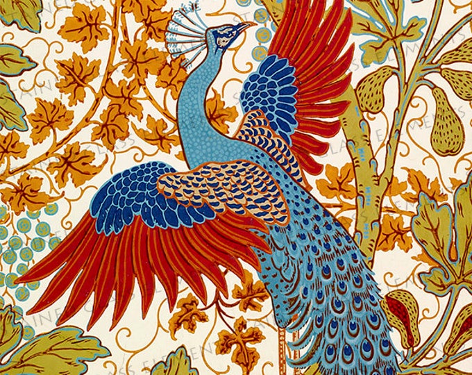 Peacock ceramic decal, Walter Crane ceramic decals, peacock, image transfers, decals for glass, decals for ceramics, decals for enamelling