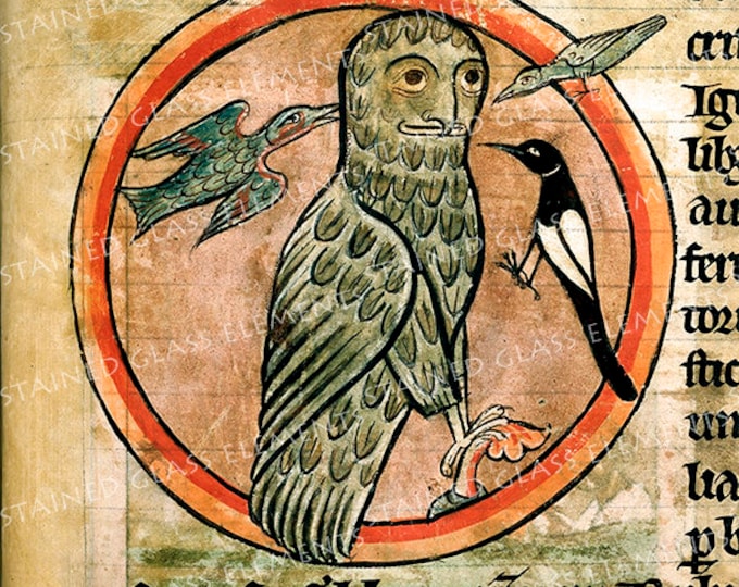 Owl ceramic decal, owl ceramic transfer, bestiary decal, medieval ceramic transfer, 1400-1562 ºF, 750-850ºC, decals for ceramics, bestiary