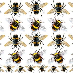 Puede incluir: Patrón repetido de abejorros sobre fondo blanco. Las abejas son negras y amarillas con alas translúcidas. La imagen es una ilustración plana bidimensional.