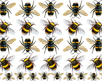 Bees ceramic decals, fusible transfers, transfers fusing, bee, bumblebee ceramic decals, decals glass, decals ceramics, enamel, ハナバチ, Bitės