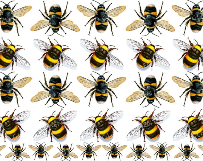 Bees ceramic decals, fusible transfers, transfers fusing, bee, bumblebee ceramic decals, decals glass, decals ceramics, enamel, ハナバチ, Bitės