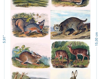 Animals vintage ceramic decals waterslide transfers for decoration of ceramics glassfusing enameling firing temp 720-800 ºC or 1328-1472 ºF