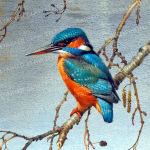 May include: A blue and orange kingfisher perched on a branch with small brown buds. The bird has a long, pointed beak and is facing to the right. The background is a light blue.