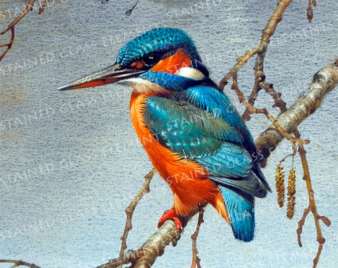 Kingfisher ceramic decal, kingfisher, decals fusible, fusible transfers, glass decals, bird ceramic decals, kingfisher ceramic transfer, tip