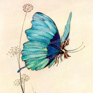 May include: A vintage illustration featuring a blue butterfly with detailed wing patterns. A small figure is riding on the butterfly's back. Fine seed heads are in the foreground. The artwork has a storybook aesthetic.