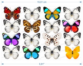 Butterflies ceramic decals Butterfly fusible waterslide transfers for ceramics glass fusing enameling firing temp 1400-1562 ºF, 750-850ºC