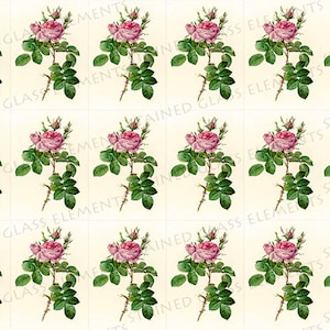 Może przedstawiać: Papier cyfrowy z powtarzającym się wzorem różowych róż z zielonymi liśćmi na kremowym tle. Tekst "STAINED GLASS ELEMENTS" jest powtarzany w całym wzorze.