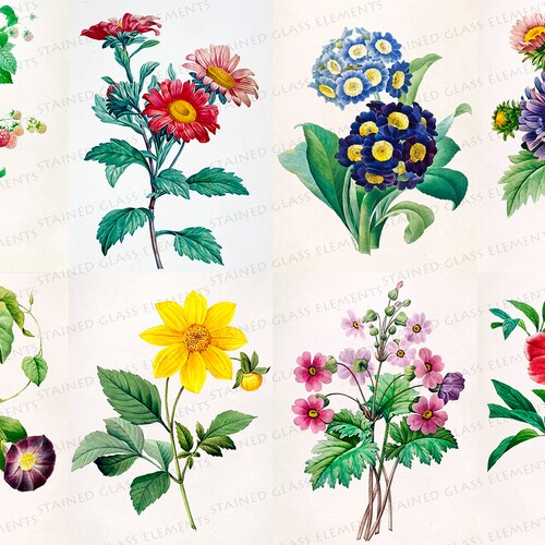 Flowers Ceramic Decals Floral Motifs Fusible Transfers for Etsy