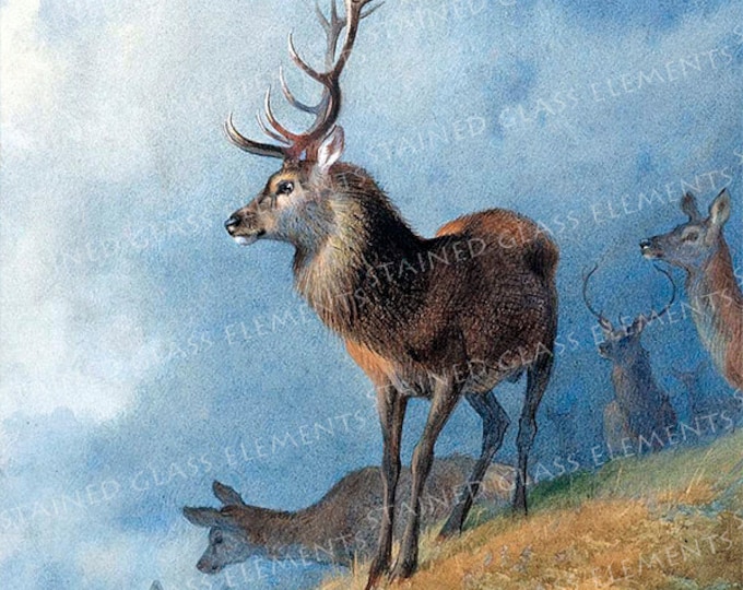 Deer ceramic decal, deer, decals fusible, deer decal, fusible transfers, decals enameling, decals, deer ceramic transfer, decals pendants