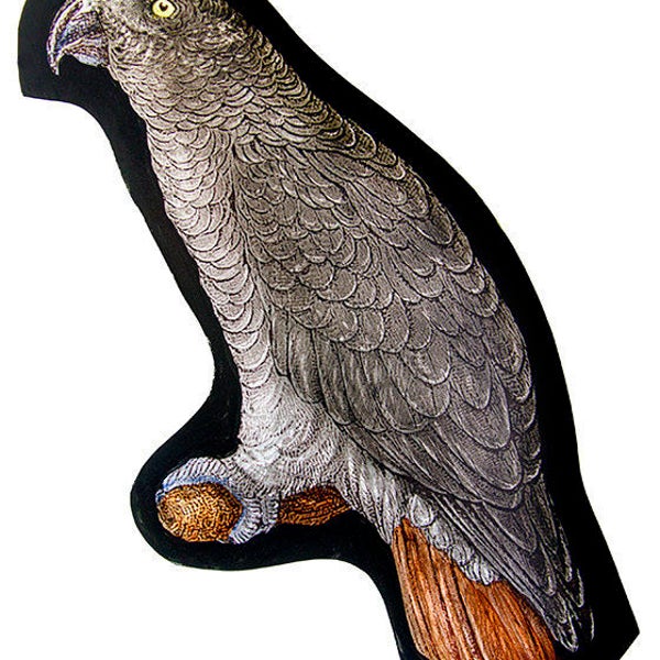Stained Glass African Grey Etsy