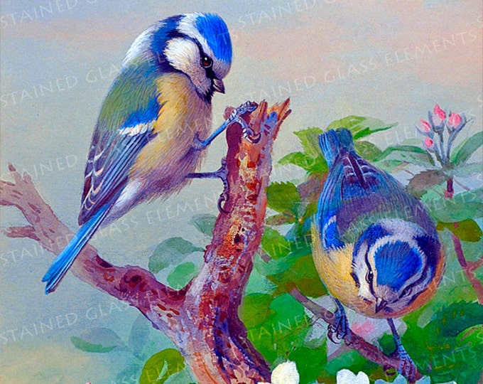 Blue tit ceramic decal, blue tit, decals fusible, tit decal, fusible transfers, glass decals, bird ceramic decals, blue tit ceramic transfer