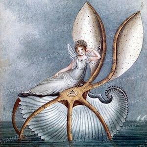 以下が含まれることがあります： 王冠をかぶった妖精が大きな貝殻に座っている水彩画。貝殻は白い点の模様で飾られており、らせん状の形をしています。妖精は白いドレスを着ていて、羽根を持っています。背景は薄い青色です。