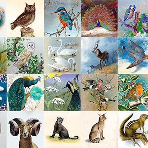 Può includere: Un collage di illustrazioni vintage con vari animali, tra cui uccelli, pesci, mammiferi e rettili. Le immagini sono su uno sfondo di vari ambienti, tra cui alberi, acqua e neve.