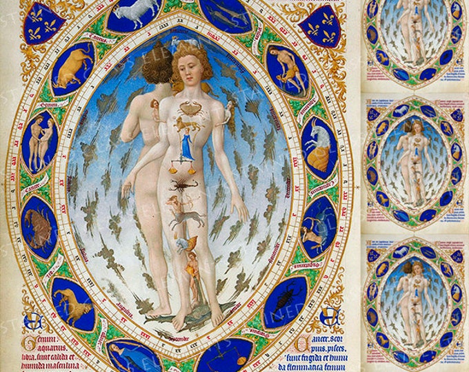 Zodiac ceramic decal, The Anatomy of Man ceramic decal, astrology decal, medieval, zodiac, zodiac ceramic transfer, 1400-1562 ºF, 750-850ºC