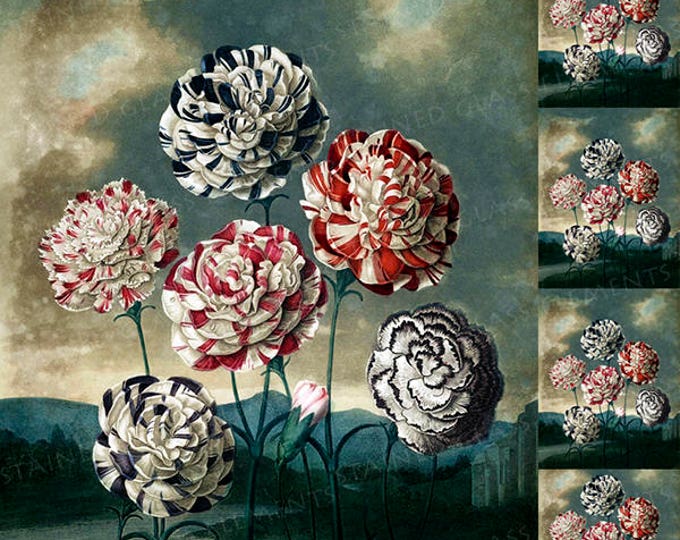 Carnations ceramic decal, flower ceramic transfer, flora decal, carnation decal, botanic ceramic transfer, red, 1400-1562 ºF, 750-850ºC