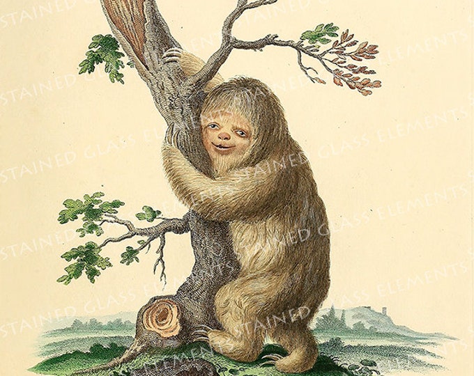 Sloth ceramic decal, sloth, decals fusible, primate decal, fusible transfers, decals enameling, decals, ceramic transfer, decals pendants
