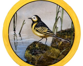 Pied Wagtail stained glass kilnfired roundel, vintage look, bird stained glass, Pied wagtail suncatcher, bird glass painting, birds, vintage