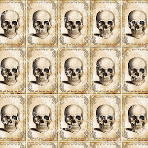 Può includere: Un carta digitale con un motivo ripetuto di 18 illustrazioni vintage di teschi umani. Ogni teschio è incorniciato da un bordo decorativo con un aspetto sbiadito e antico.