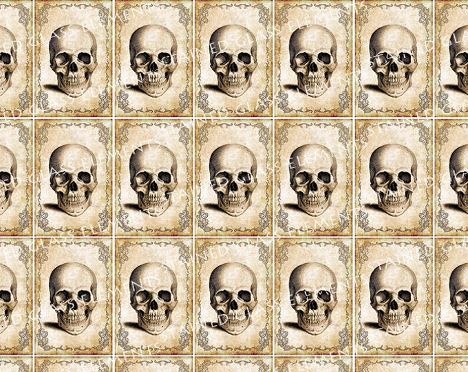 Skulls ceramic decals waterslide ceramic transfers of victorian skull to be used with ceramics glass fusing enameling work, セラミックデカール