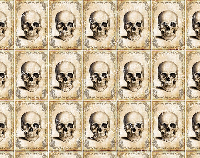 Skulls ceramic decals waterslide ceramic transfers of victorian skull to be used with ceramics glass fusing enameling work, セラミックデカール