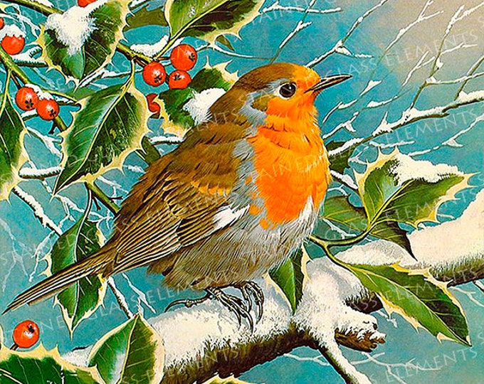 Robin ceramic decal, decals fusible, robin, fusible transfers, glass decals, decals, snow decal, bird, birds decals, rouge-gorge decal, kiln