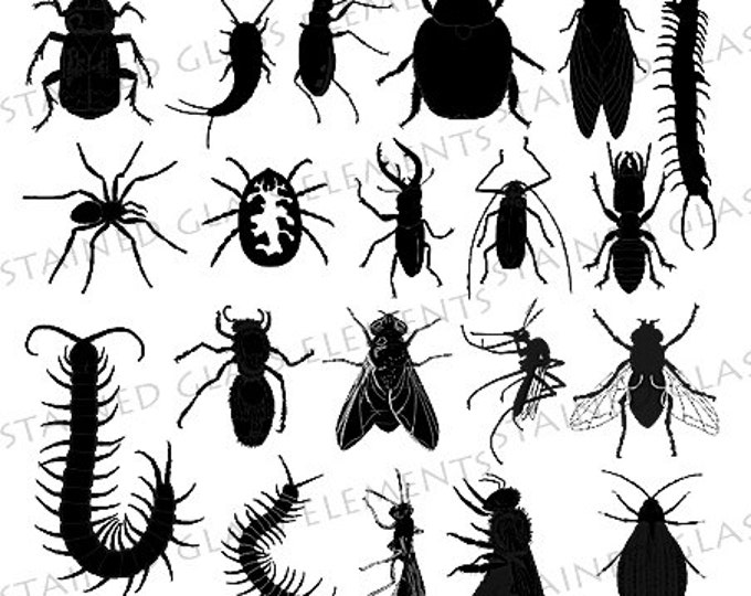 Insects ceramic decals fusible transfers for decoration of ceramics glassfusing enameling beads black or sepia spider fly beetle centipede