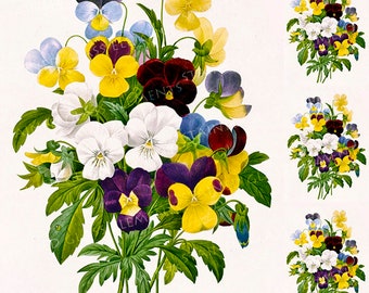 Pansy ceramic decal, pansies ceramic decal, pansy decal, pansies, flower decal, pansies ceramic transfer, botanical, 1400-1562 ºF, 750-850ºC
