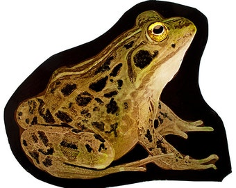 Frog stained glass fragment, kilnfired stained glass frog, frog suncatcher, frog glass fragment, grenouille vitraux, رنگ آمیزی شیشه ای