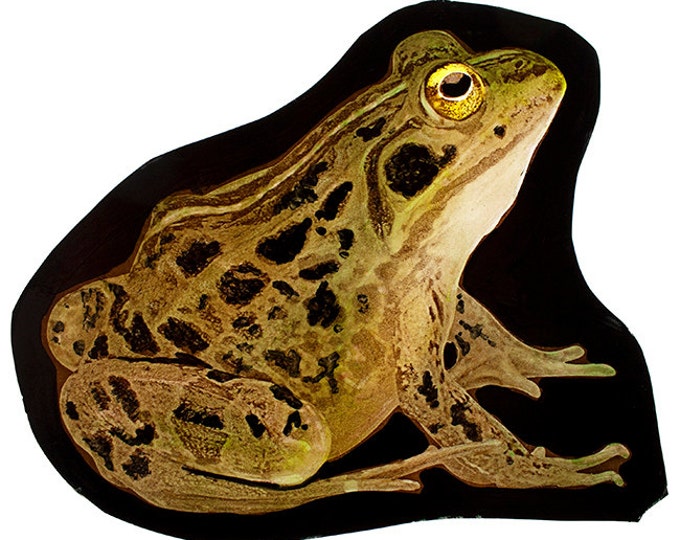 Frog stained glass fragment, kilnfired stained glass frog, frog suncatcher, frog glass fragment, grenouille vitraux, رنگ آمیزی شیشه ای