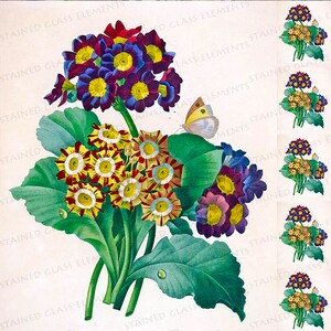 May include: A bouquet of colorful flowers with yellow, red, and white petals, and purple and pink flowers with a butterfly in the background.
