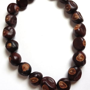 Ohio State Buckeyes Necklace; All Buckeye Nuts