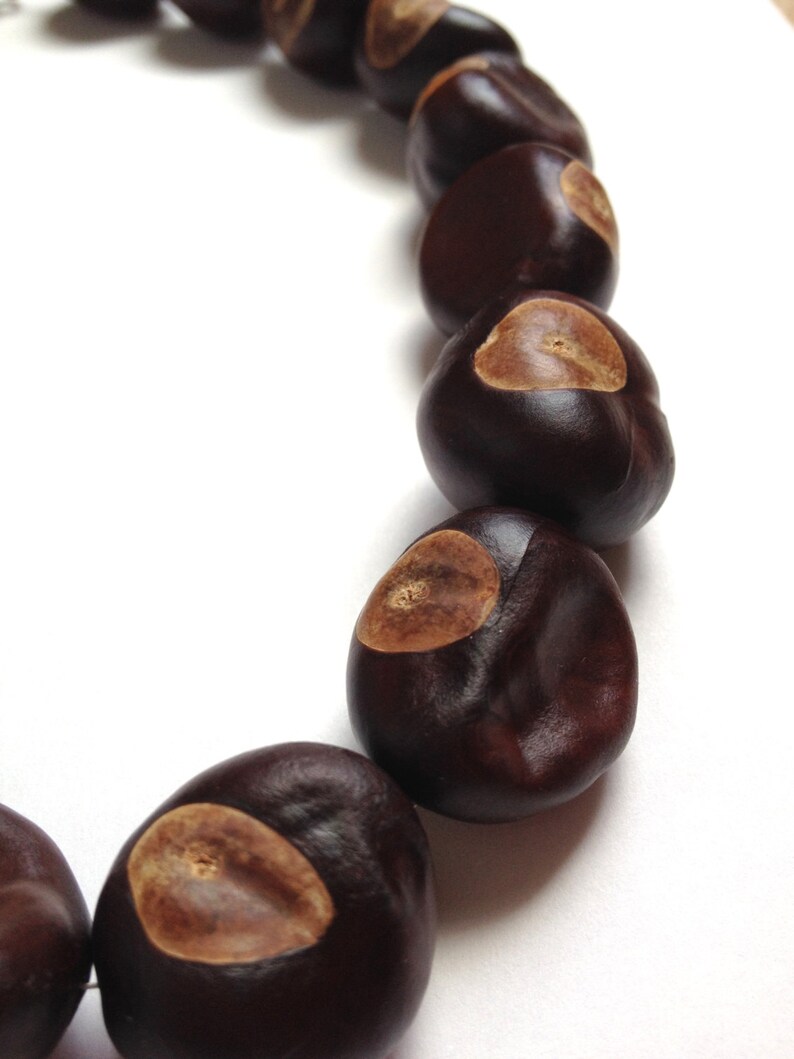 Ohio State Buckeyes Necklace All Buckeye Nuts Etsy