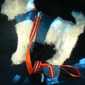 May include: A dog harness and lead set. The harness is denim blue with an orange strap and paw print accents. The lead is orange with paw print accents. A matching denim blue bag with paw print accents is also included.