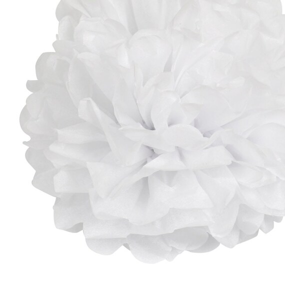 1 X 50cm 19 5 Inches Snow White Tissue Paper Pom Pom Pompom