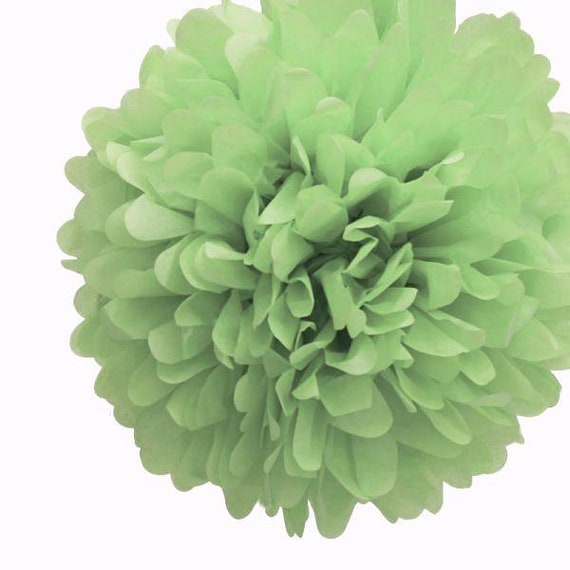 1 X 35cm Pastel Green Tissue Paper Pom Pom Pompom Paper Etsy