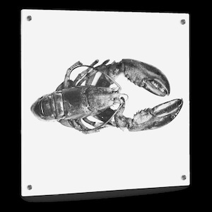 Kitchen Background Lobster image 1