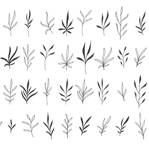 40 Hand Drawn Botanical Decorative Design Elements. Leafy, Botanical Clip Art. Vector EPS + Transparent PNG. Foliage, Branches, Leaves.