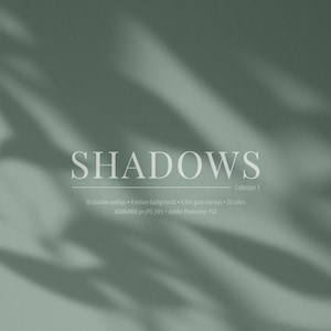 30 Botanische Schatten Overlays vol. 03 | Pflanzen, Blätter (JPG, PSD)