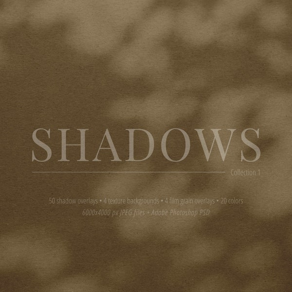 50 Schatten Overlays Vol. 01 | Geometrische und organische Schatten: Fenster, Jalousien, botanisch, Pflanzen, Blätter | Ästhetische Abstrakte Hintergründe