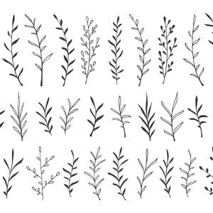30 Hand Drawn Botanical Decorative Design Elements. Leafy, Botanical Clip Art. Vector EPS + Transparent PNG. Foliage, Branches, Leaves.