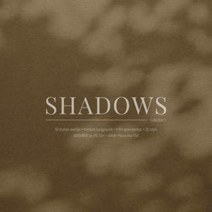 50 Shadow Overlays vol. 01 | Botanical, Plants, Leaves, Windows, Blinds (JPG, PSD)